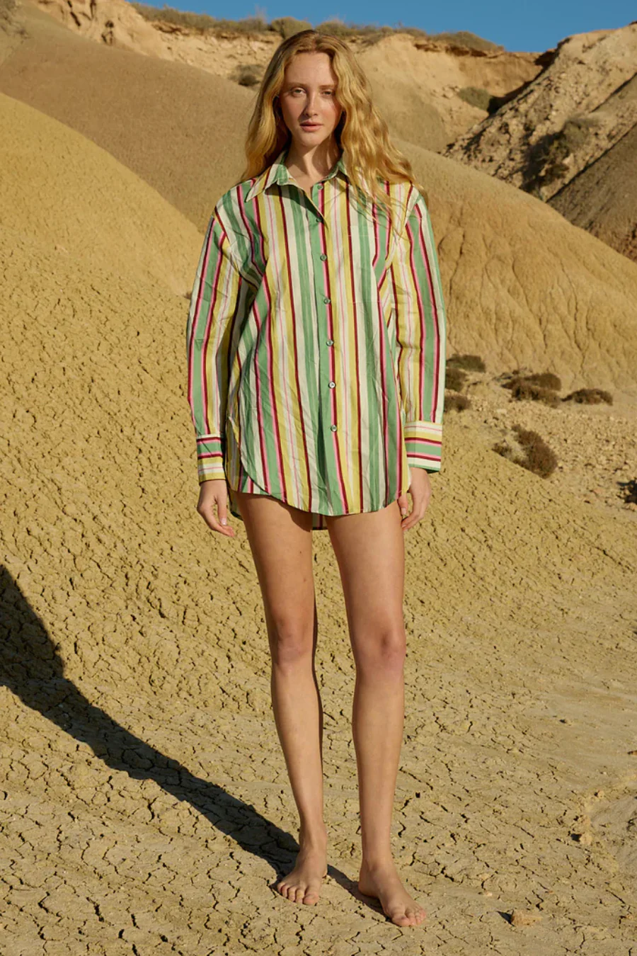 Buddy Shirt Meadow Stripe