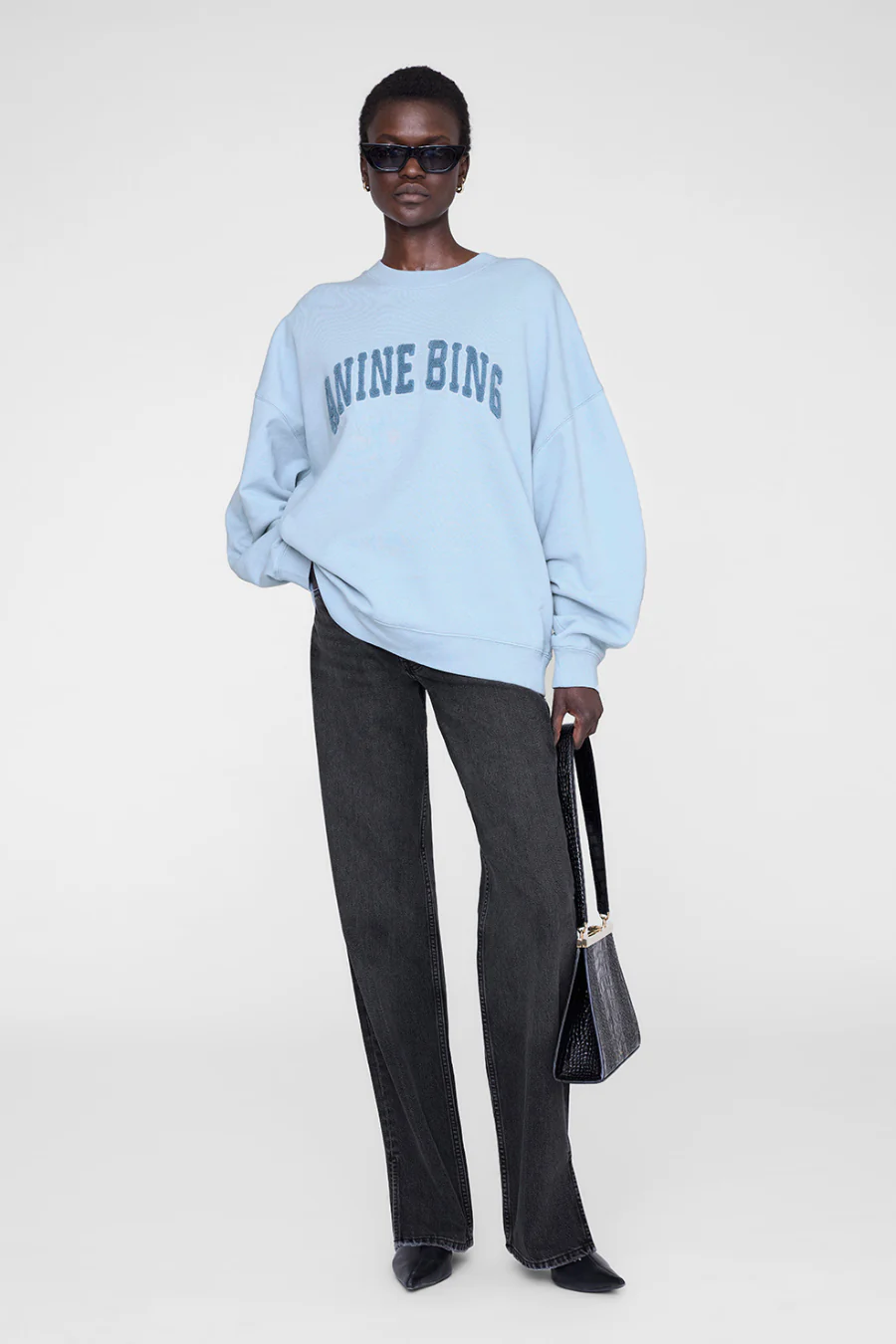Miles Sweatshirt Anine Bing Pale Blue
